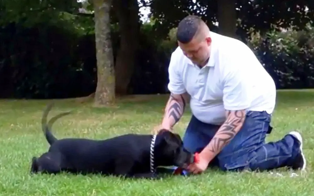 Man decides to take his own life – then he realizes what’s in his dog’s mouth