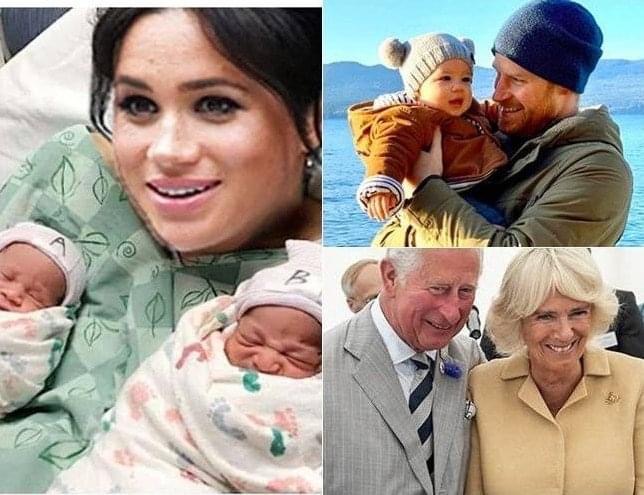 Breaking News: The British royal family announces joyful news as the wife of Prince Harry gives birth to twins, adding two more heirs to the royal lineage. King Charles rejoices as he names them…