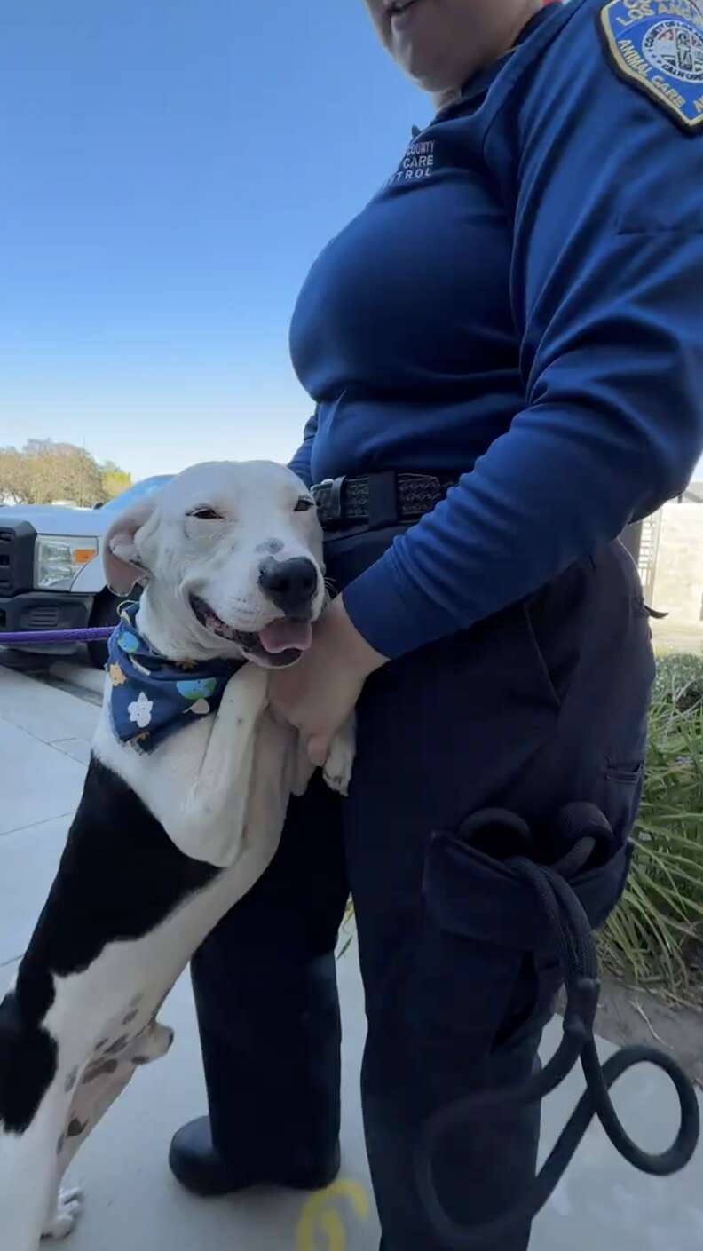 dog hugging person