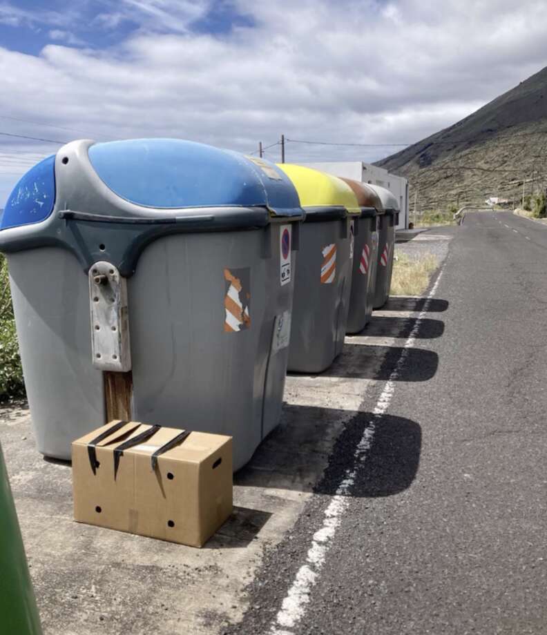 cardboard box by dumpster 